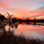 100 Burpees the Hard Way