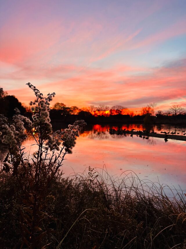 100 Burpees the Hard Way